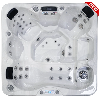 Costa EC-749L hot tubs for sale in Maple Grove