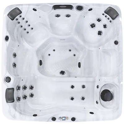 Avalon EC-840L hot tubs for sale in Maple Grove