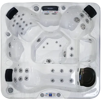 Avalon EC-849L hot tubs for sale in Maple Grove