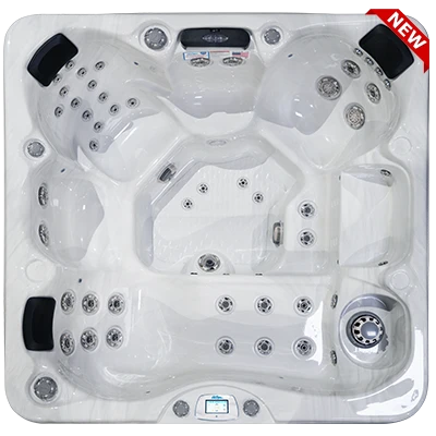 Avalon-X EC-849LX hot tubs for sale in Maple Grove